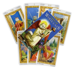 tarot de los gatos blancos | la suavidad del instinto de tu tranquilidad