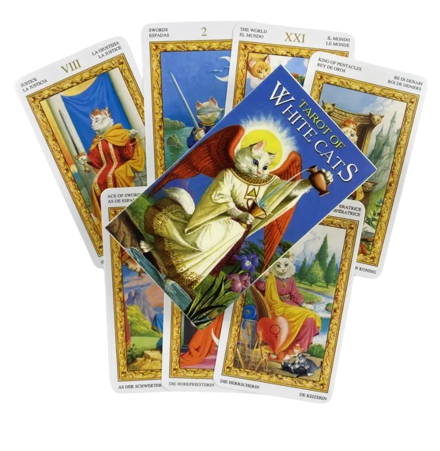 tarot de los gatos blancos | la suavidad del instinto de tu tranquilidad tarot de los gatos blancos | la suavidad del instinto de tu tranquilidad