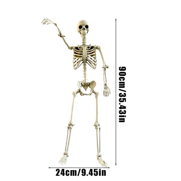 esqueleto realista 90 cm: memento mori activo | la estructura de tu realidad, expuesta y presente esqueleto realista 90 cm: memento mori activo | la estructura de tu realidad, expuesta y presente